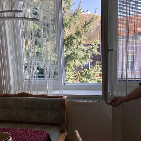 Apartman Pro 5 Lidi Hned U Centra Mikulov